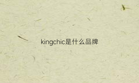 kingchic是什么品牌(kings是什么品牌)