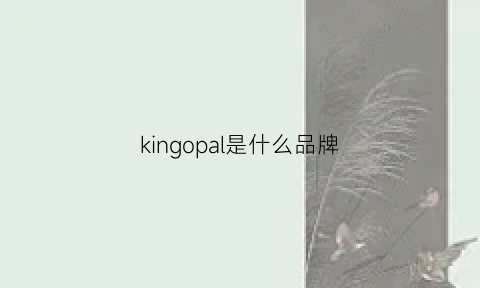 kingopal是什么品牌(kingpic是什么牌子)