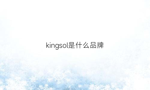 kingsol是什么品牌(kingservo是什么品牌)