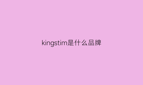 kingstim是什么品牌