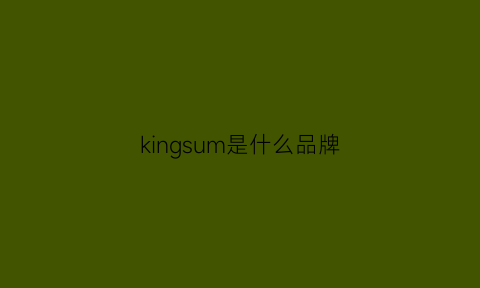 kingsum是什么品牌(kingkid是什么牌子)