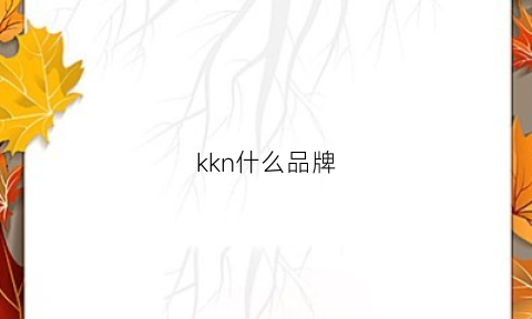 kkn什么品牌(kk是什么品牌)