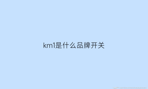 km1是什么品牌开关(mk是什么牌子开关)