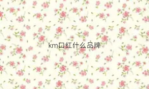 km口红什么品牌(km的口红)