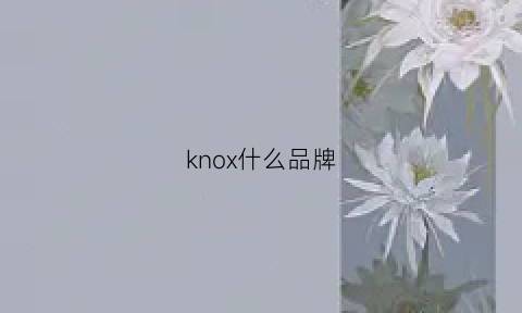 knox什么品牌