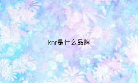 knr是什么品牌(kn是什么牌子)