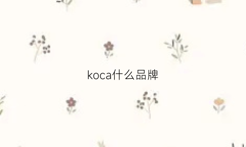 koca什么品牌(koca是什么品牌)