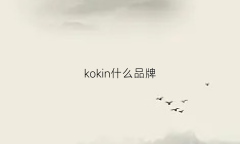 kokin什么品牌(ko是什么品牌)