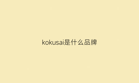 kokusai是什么品牌(kokuyo是什么牌子)