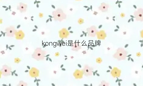 kongwei是什么品牌(kongsuni品牌)