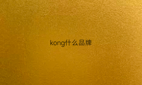 kong什么品牌