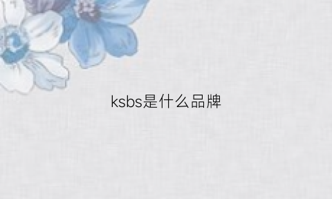 ksbs是什么品牌