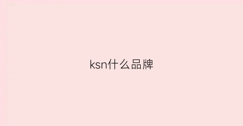 ksn什么品牌(k0nka是什么牌子)