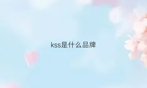 kss是什么品牌