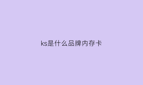 ks是什么品牌内存卡(内存卡上写着kd什么意思)