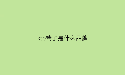 kte端子是什么品牌