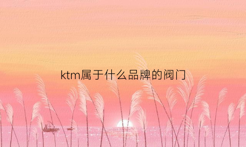 ktm属于什么品牌的阀门