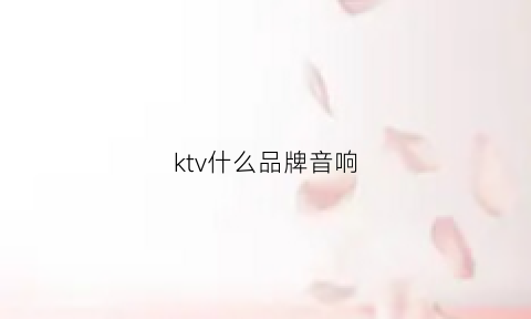 ktv什么品牌音响