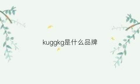 kuggkg是什么品牌(kg是哪个品牌)