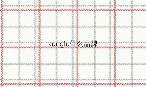 kungfu什么品牌(kfg是什么品牌)