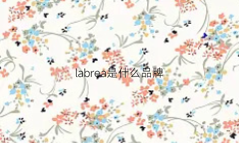 labrea是什么品牌(labs是什么牌子)