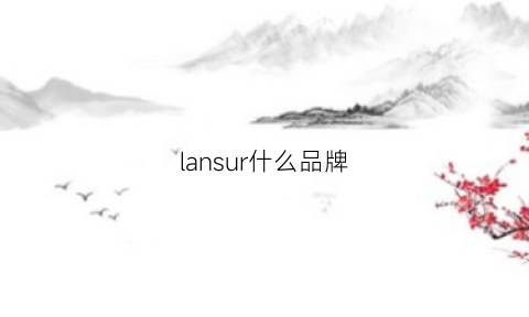 lansur什么品牌(lan是什么品牌)