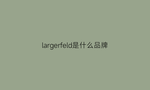 largerfeld是什么品牌(large是什么牌子衣服价格)