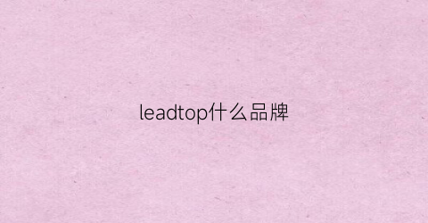 leadtop什么品牌(leadpower什么品牌)