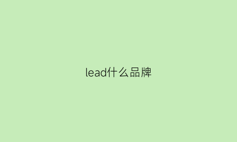 lead什么品牌(leadpower什么品牌)