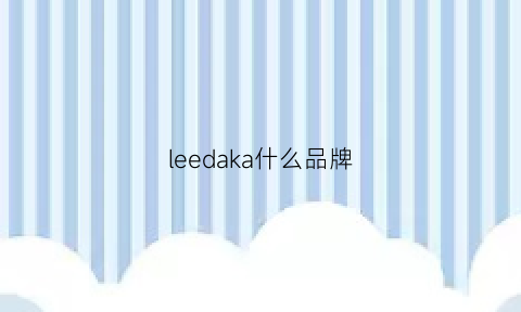 leedaka什么品牌(leebaka价位)