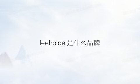 leeholdel是什么品牌(lee是什么牌子贵不贵)