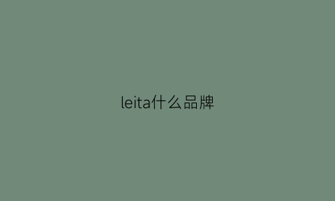 leita什么品牌(lelo品牌介绍)