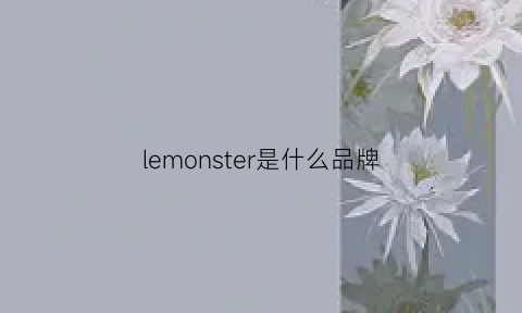 lemonster是什么品牌