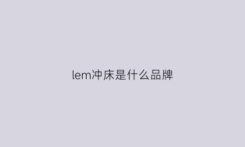 lem冲床是什么品牌(ngli冲床是哪个品牌)