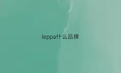 leppa什么品牌(leap是什么牌子的衣服)