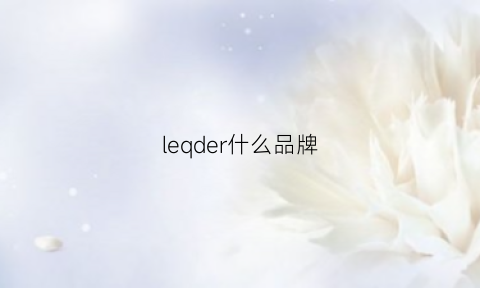 leqder什么品牌(legrand是什么品牌)