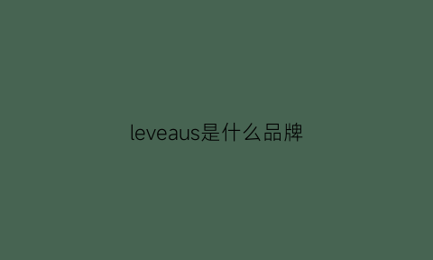 leveaus是什么品牌(levee是什么牌子)