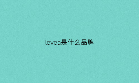 levea是什么品牌(level是什么牌子)