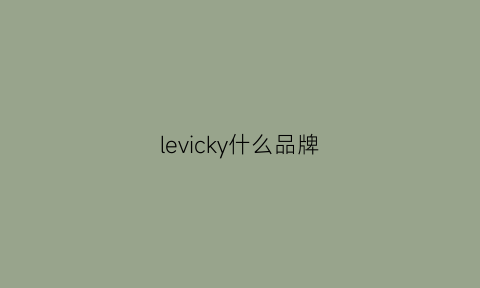 levicky什么品牌(lekker是什么牌子)