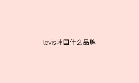 levis韩国什么品牌(levis是什么品牌)