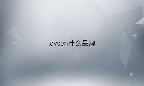 leysen什么品牌(leysen怎么样)