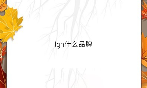 lgh什么品牌(lg是哪国的品牌)