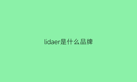 lidaer是什么品牌(lidea是什么牌子)