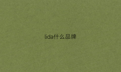 lida什么品牌(llda是什么牌子)