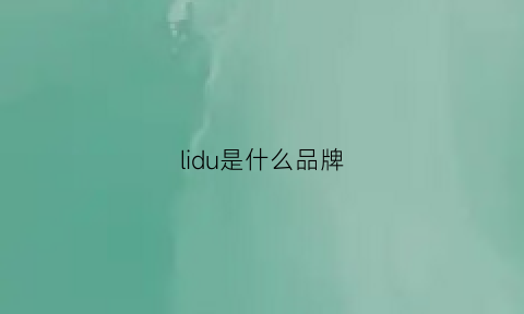 lidu是什么品牌(liz是什么品牌)