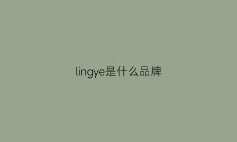 lingye是什么品牌(ling是什么牌子)