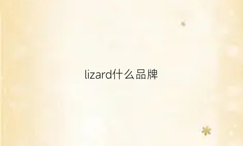 lizard什么品牌(lizard鞋怎么样)