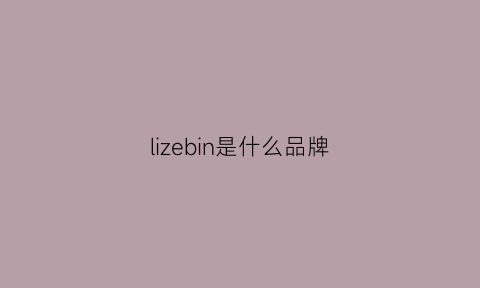 lizebin是什么品牌(lizzo品牌)