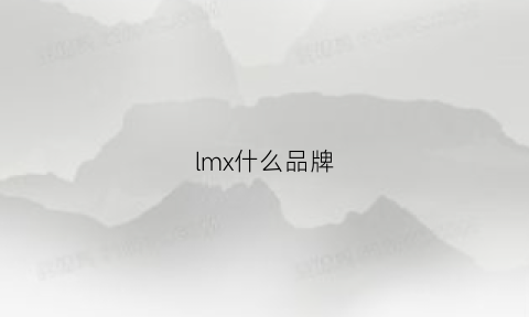 lmx什么品牌(lmhm什么牌子)