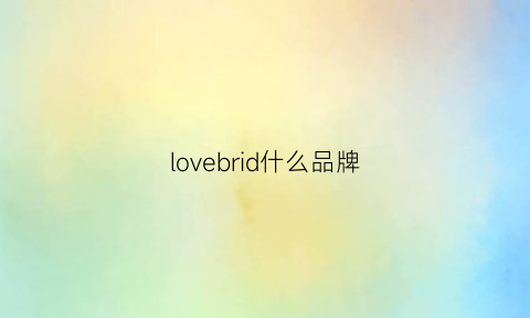 lovebrid什么品牌(loveandlove是什么档次)